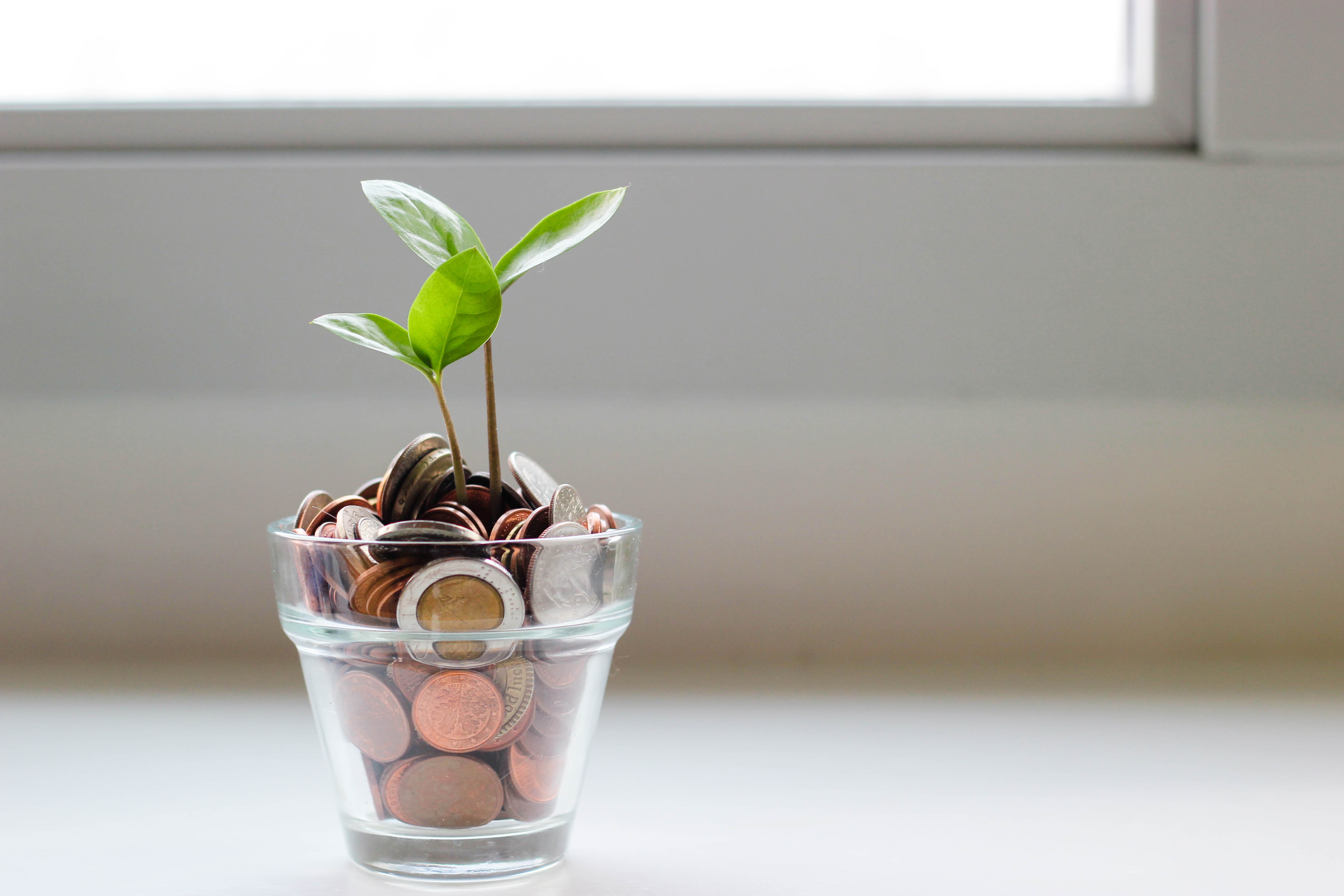 Funders